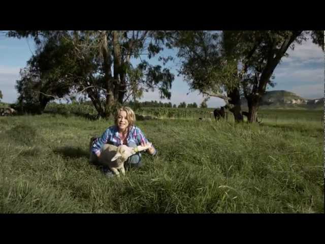 LIANIE MAY - Pleister Vir My Hart (AMPTELIKE MUSIEK VIDEO)
