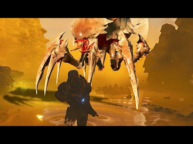 The Highest IQ Hell Divers Video...