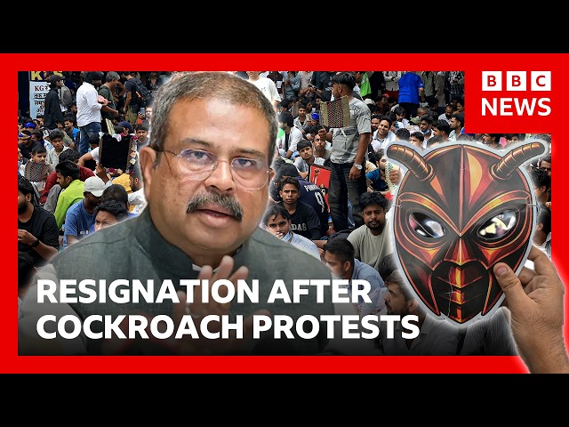India's Education Minister Dharmendra Pradhan resigns after weeks of 'cockroach' protests | BBC News