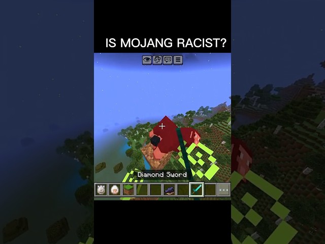 Is mojang racist?💀 #minecraft