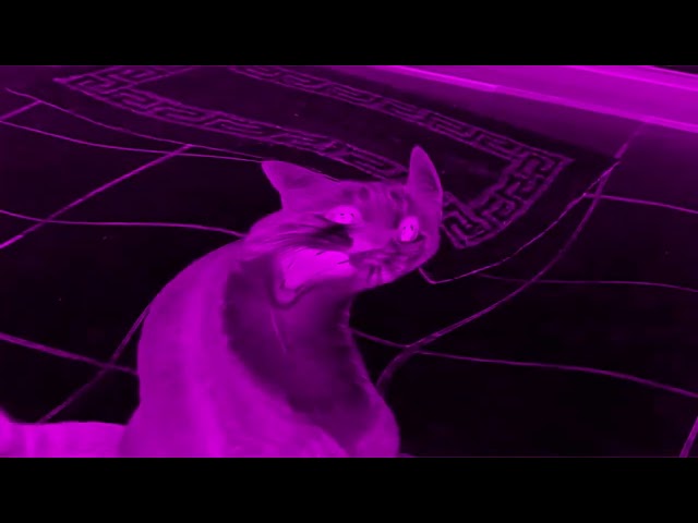 (REUPLOADED) Shortest Video on YouTube Effects (Preview 2MABAL Effects)