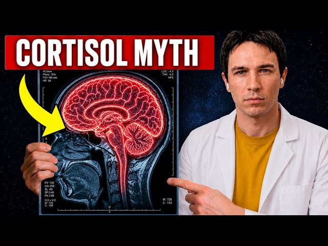 The SHOCKING Truth About High Cortisol (Science Explained)