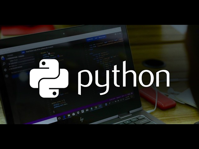 Программирование на Python в 2026 году | Где и с чего начать?