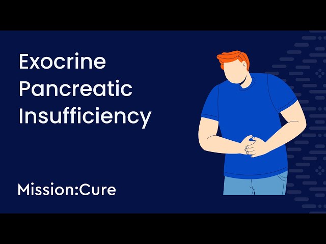 What is Exocrine Pancreatic Insufficiency (EPI/PEI)? Risk Factors, Symptoms, and Treatment