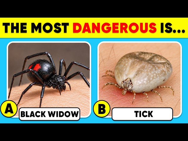 How Well Do You Know Animals? 🌍🧠✅ General Knowledge Trivia Quiz