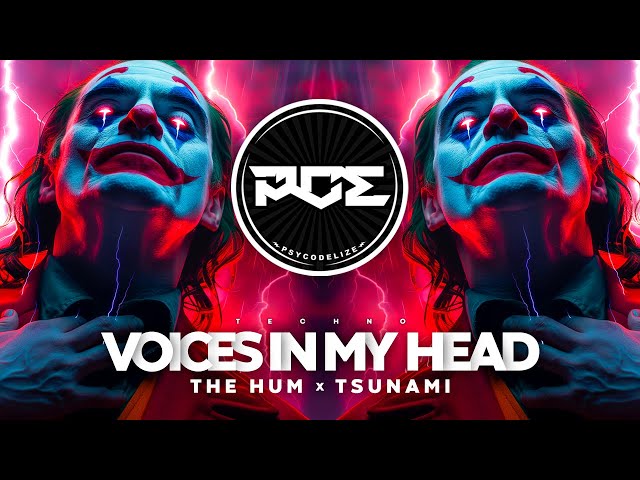 HARD TECHNO ● Voices In My Head x The Hum x Tsunami (RT Mashup)