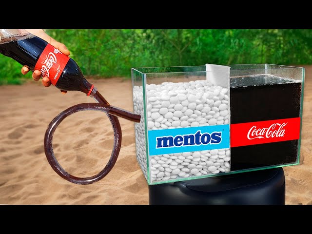 DIY Coca Cola y Mentos vs Acuario | Mejores Experimentos y Pruebas