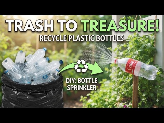 ​Don't Throw Away Empty Plastic Bottle Amazing DIY Ideas and Garden Hacks😲