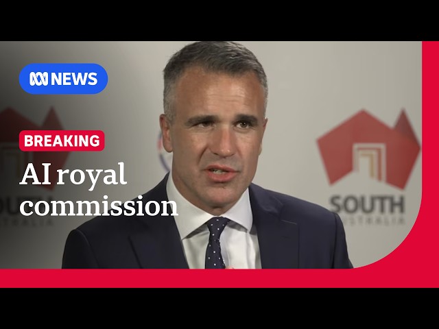 SA launches royal commission into artificial intelligence | ABC NEWS