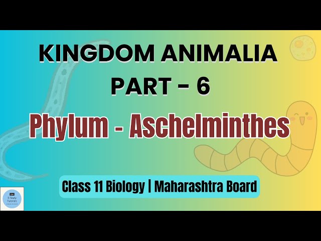 Phylum Aschelminthes | Nemathelminthes  | Kingdom Animalia Part 6 | in Marathi | E - Study Tutorials