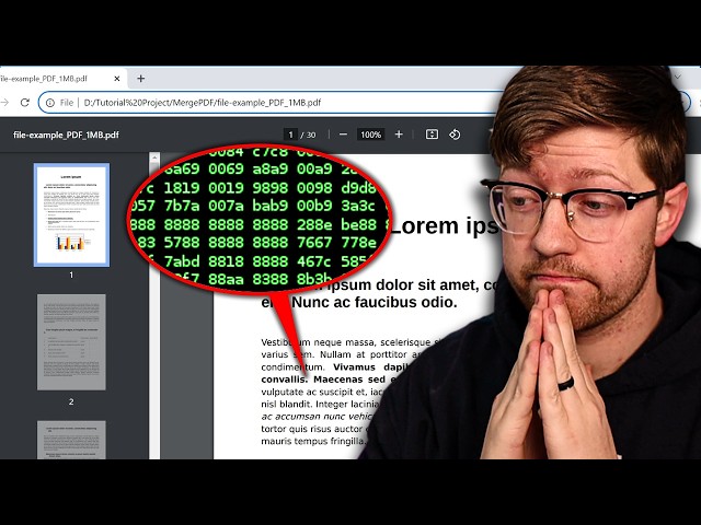 They're hacking PDFs now