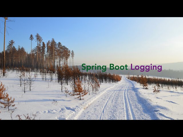 Spring Boot 2 Logging | Spring Boot 2  | @Slf4j @Log @Log4j2 @CommonsLog