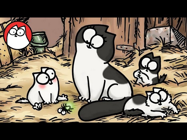Cat and Kitten Origins - Special Double Bill