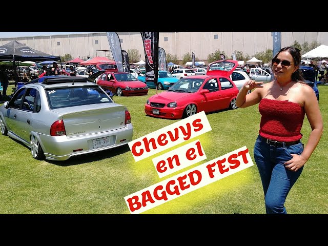 Chevys at the Bagged Fest! Mostly members of the OPC Club