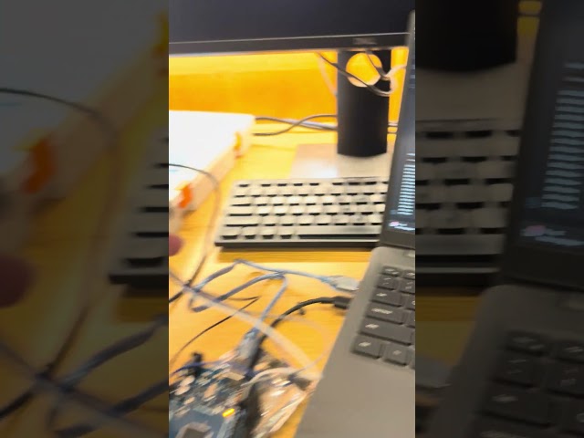 Biomedical Engineering - Individual Project