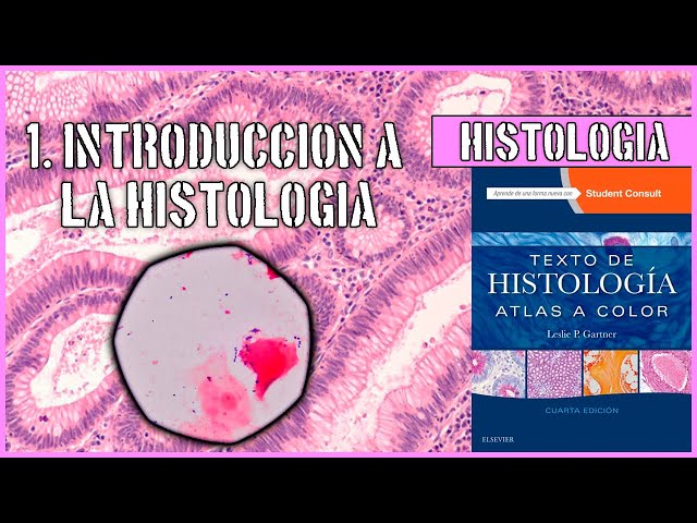INTRODUCTION TO HISTOLOGY AND HISTOLOGICAL TECHNIQUE | HISTOLOGY