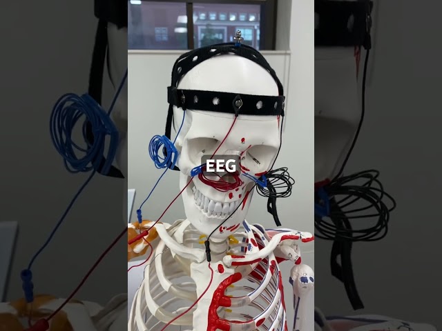 DIY Brainwave Monitoring: Biomedical Instrumentation Innovation and Insight