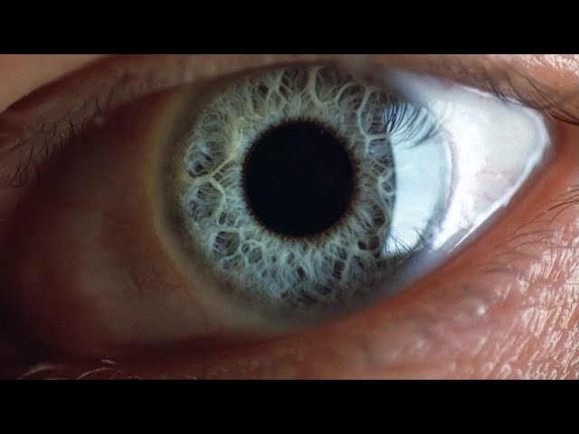 Full Movie | Cube 1997 | Horror Sci-fi