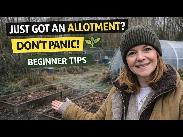 Just Got an Allotment? My Best Tips for New Plot Holders 🌱