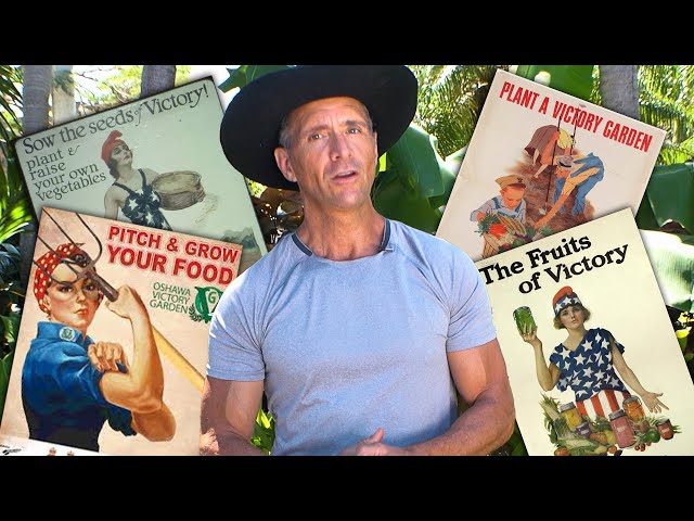 How to Grow Your Own Food This Summer!