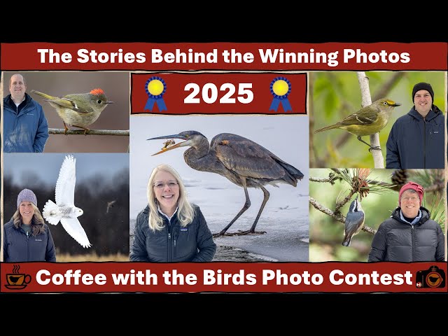 2025 Photo Contest:  Stories Behind the Winning Photos