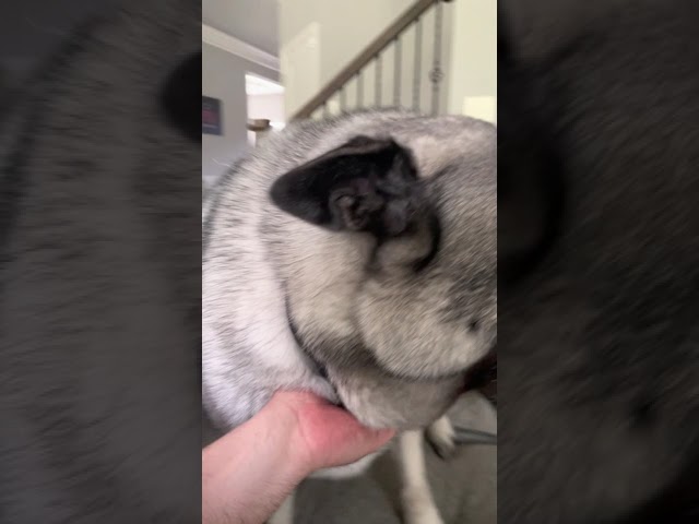 Video_SB01 Set Builder Notation