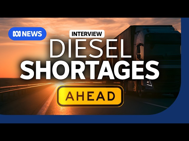 Lack of refined oil could mean diesel shortages, says global strategist | The Business | ABC NEWS