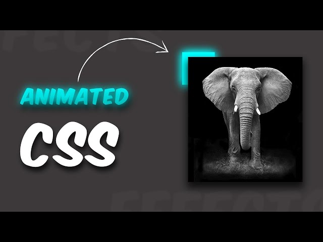 CSS Animation Effect Tutorial | Animated Border with HTML & CSS
