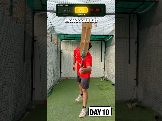 DAY 10/365 | CRICKET BAT vs MONGOOSE BAT vs MINI BAT | EASY, HARD & IMPOSSIBLE