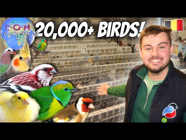 Inside the World’s Largest Bird Show (20,000+ Birds!)