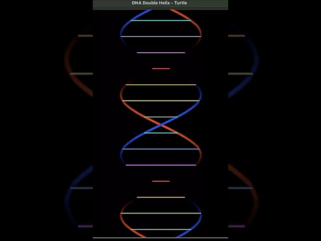 I create Human DNA using Python Turtle | wait for end |