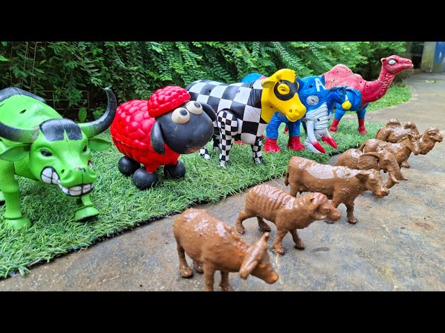 Cows, Elephants, Buffalo, Sheep, Horses, and Camels Giving Birth | Cows Taking a Mud Bath