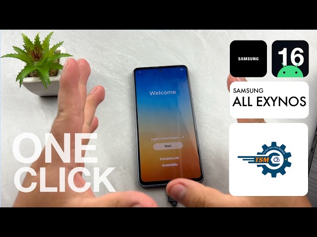 Remove Google Account From All Samsung Devices | Exynos 2026 | TSM Tool | Paid