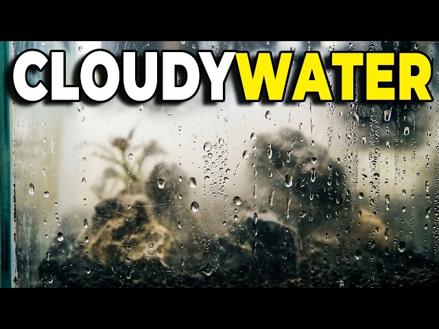 10 CLOUDY WATER Mistakes That Reset Your Cycle