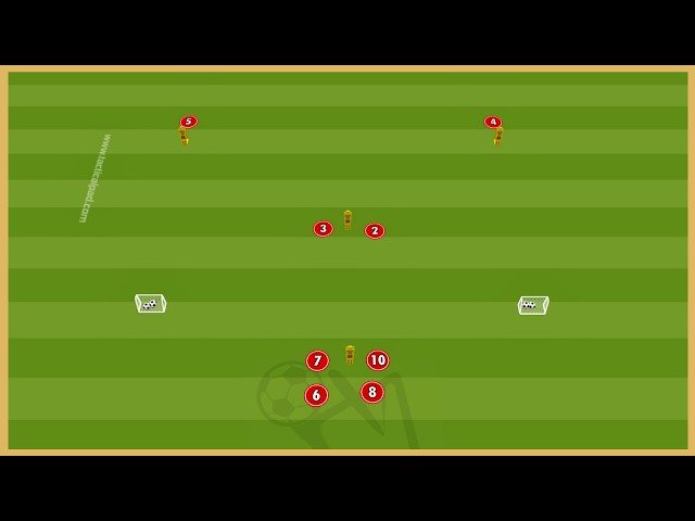 Spain - Great Passing Drill With Finishing On Two Goals & Luis De La Fuente