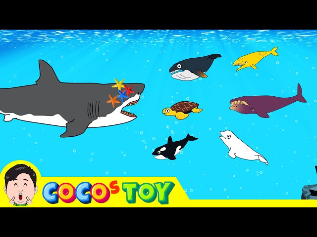 50MinutosㅣUna colección de 5 historias sobre aventuras de animales bajo el marㅣCoCosToy