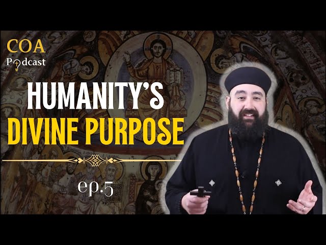 What is the purpose of Life Humanity’s Divine Purpose