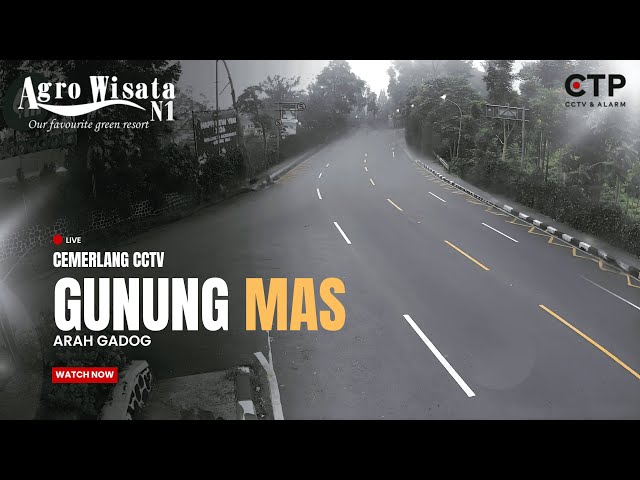 LIVE CCTV Jalur Puncak Agrowisata Gunung Mas | Arah Gadog 24 Jam — by Cemerlang CCTV