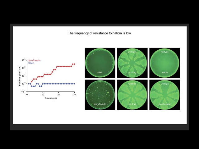 A Deep Learning Approach to Antibiotic Discovery