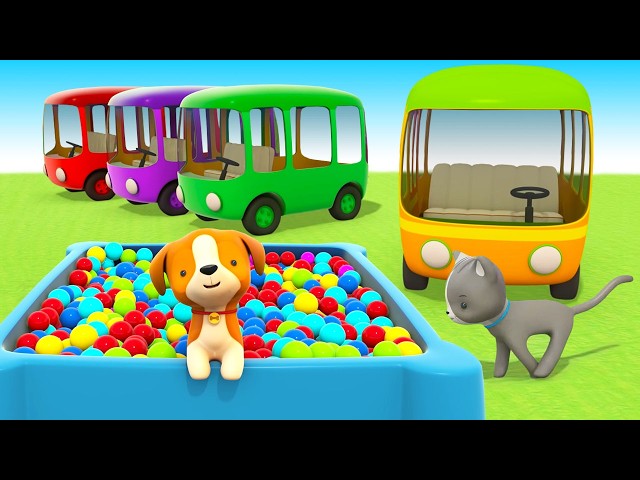 Cars' adventures! Colorful buses are heading to the city to help the bus drivers.