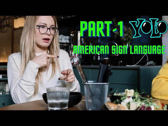 American Sign language Detection - Part -1 (Problem Statement) | YOLO