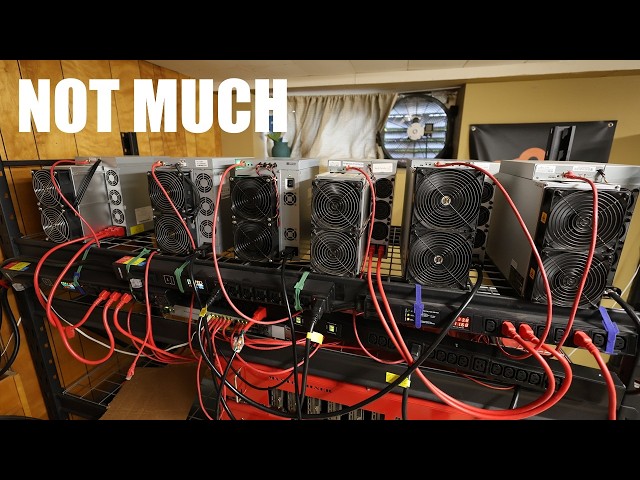 Crypto Mining in Feb 2026… What I’m Actually Earning Now