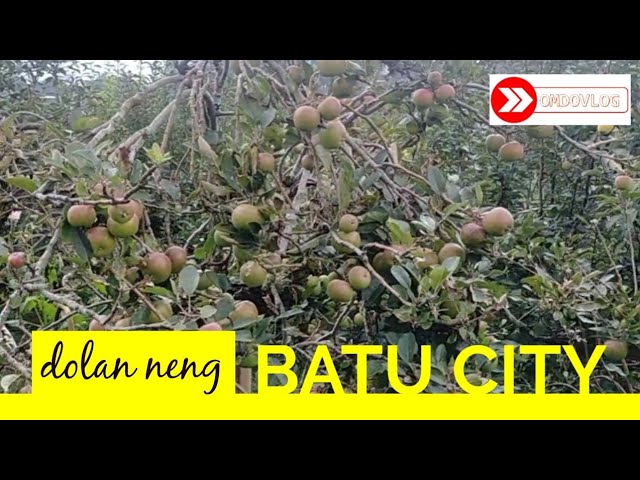 Jalan - Jalan ke Kota Batu (main ke musium angkut ke 3 kali nya)