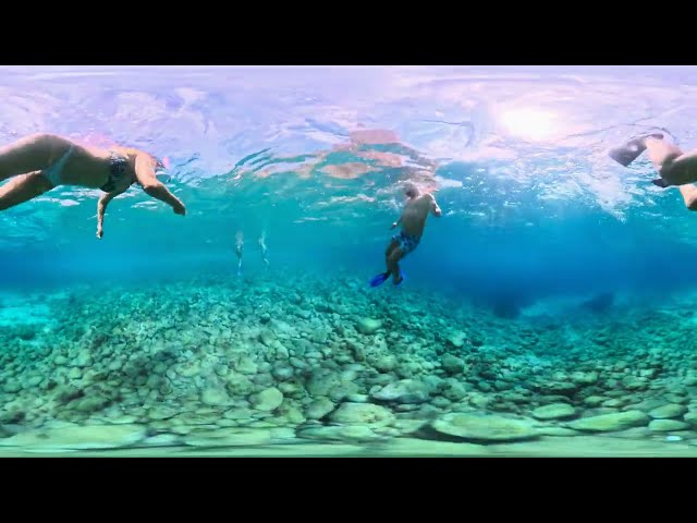 Surrounded by Fish in the Mediterranean — Look Around in 360° | 8K