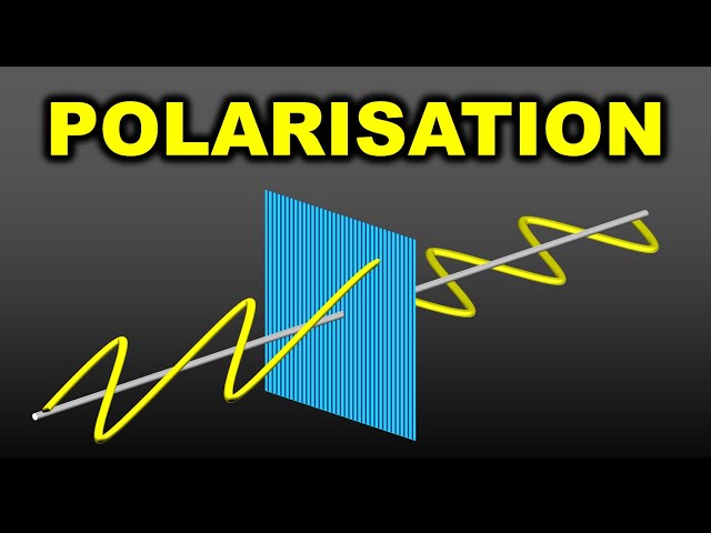 Polarisation of Light (Part 1) || Malus' Law || in Hindi for Class 12