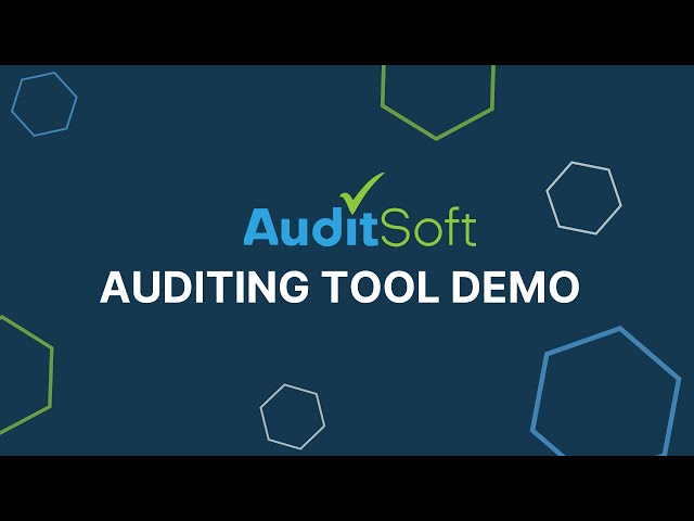 AuditSoft Auditing Tool Demo
