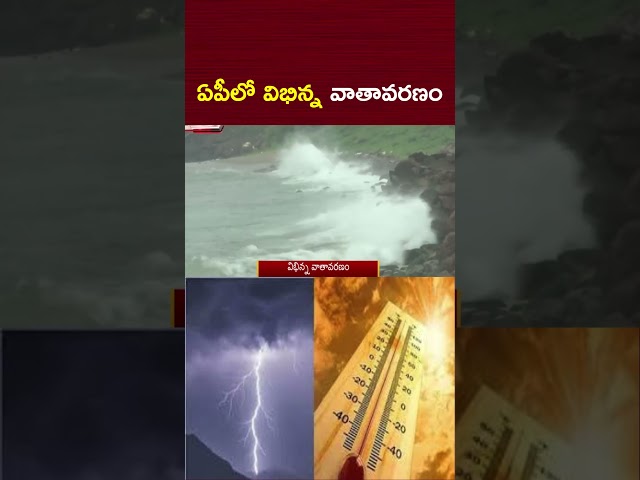ఏపీలో విభిన్న వాతావరణం | Weather Updates | NTV Telugu