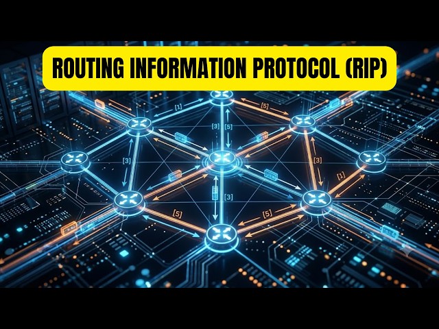 Routing Information Protocol (RIP) | Hop Count, Timers & Distance Vector Routing