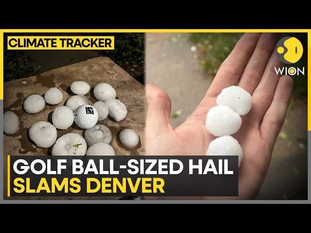 Denver Hail Storm: Giant Hail Crashes Into City Streets | WION