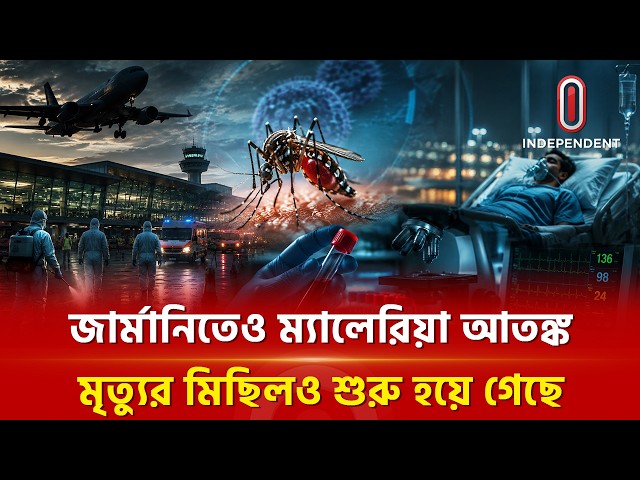 জার্মানিতে মশা গেল কিভাবে? | Germany | Independent TV